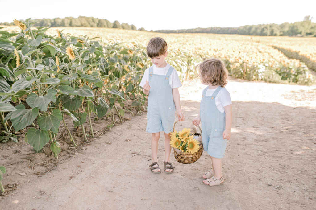 sunflower family photo session Caledon Ontario
