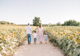 Family Sunflower Session at Davis Farm | Caledon Photography