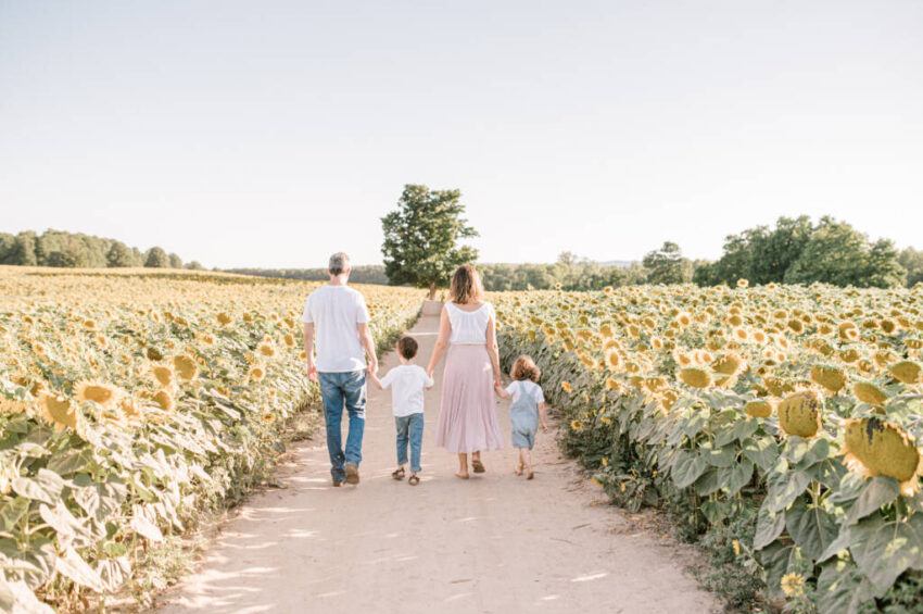 Family walking through sunflower fields at Davis Farm in Caledon” / “Kids on swing during golden hour session