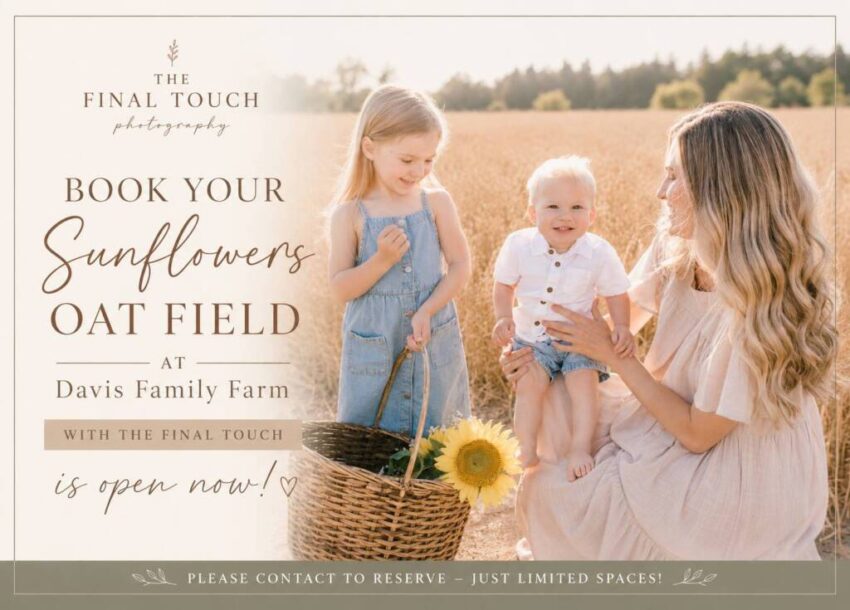 Sunflower & Oat Family Photos at Davis Family Farm | What to Wear & Outfit Ideas